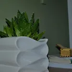 The Green Cozy Apartment
